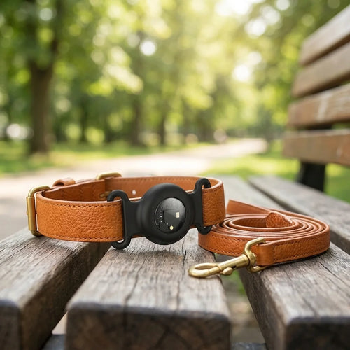 Traceur GPS HOCO compatible collier chien et chat — suivi Apple Find My